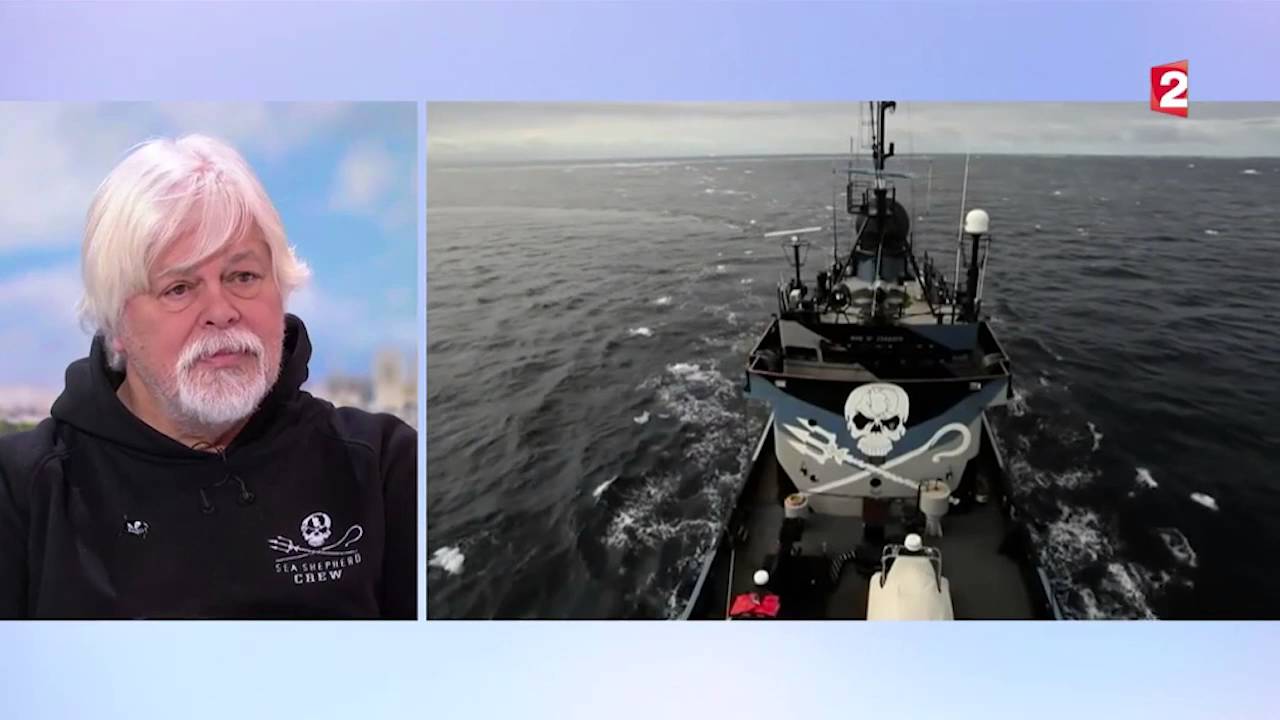 PAUL WATSON l'invité 