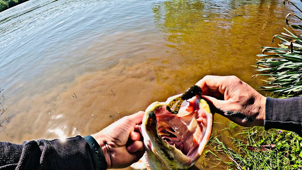 I Landed A SUSQUEHANNA RIVER MONSTER!!! (A New PB Crushed!)