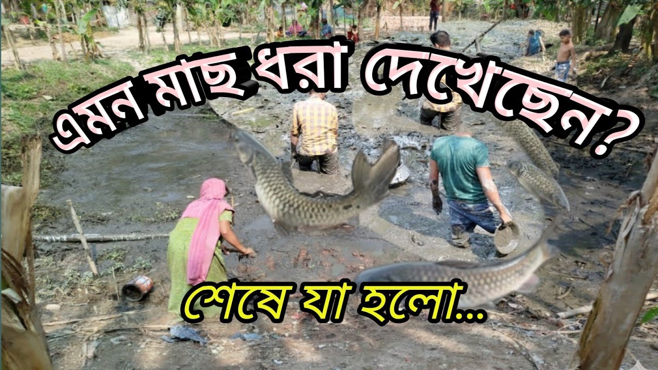 মাছ ধরতে নেমে হঠাৎ সাপ! গ্রামের ছেলেদের অবস্থা দেখুন।#গ্রামবাংলা#মাছধরা#FishingVideo