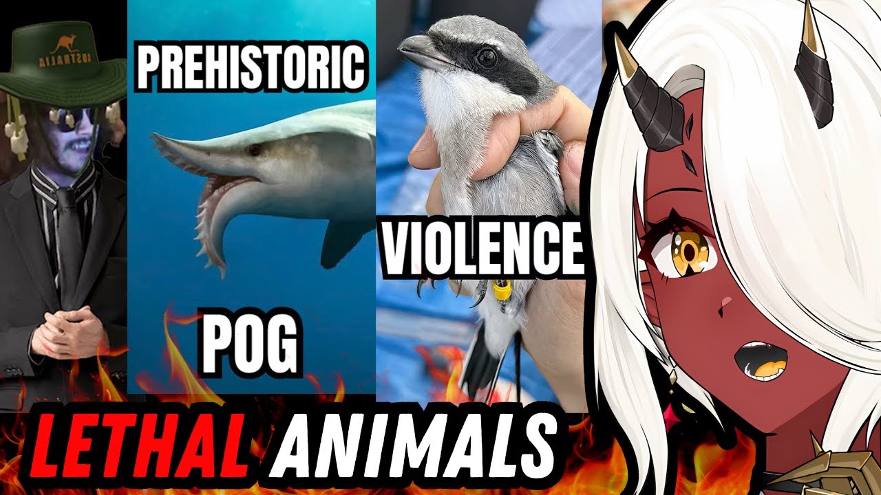 Australia is TERRIFYING | More Parz React