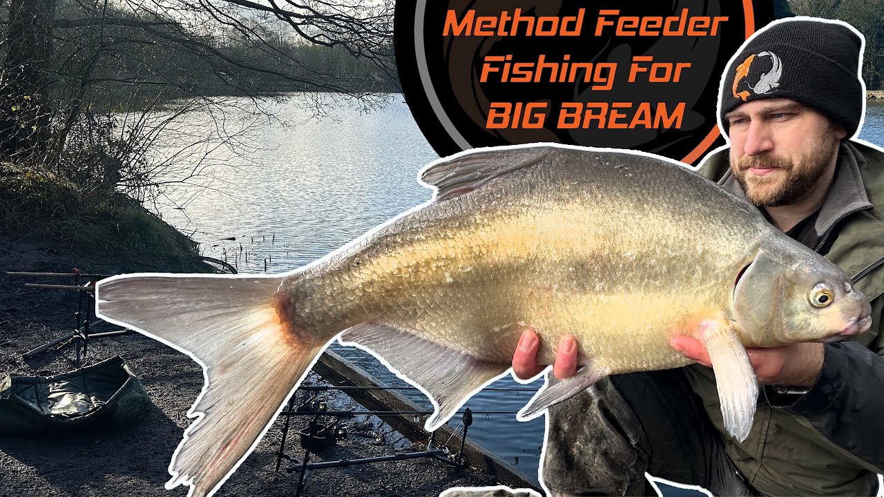 Method Feeder Fishing For BIG Bream