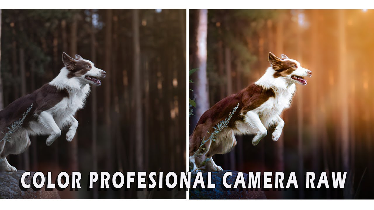 Color profesional en tus fotos con Photoshop Y Camera Raw