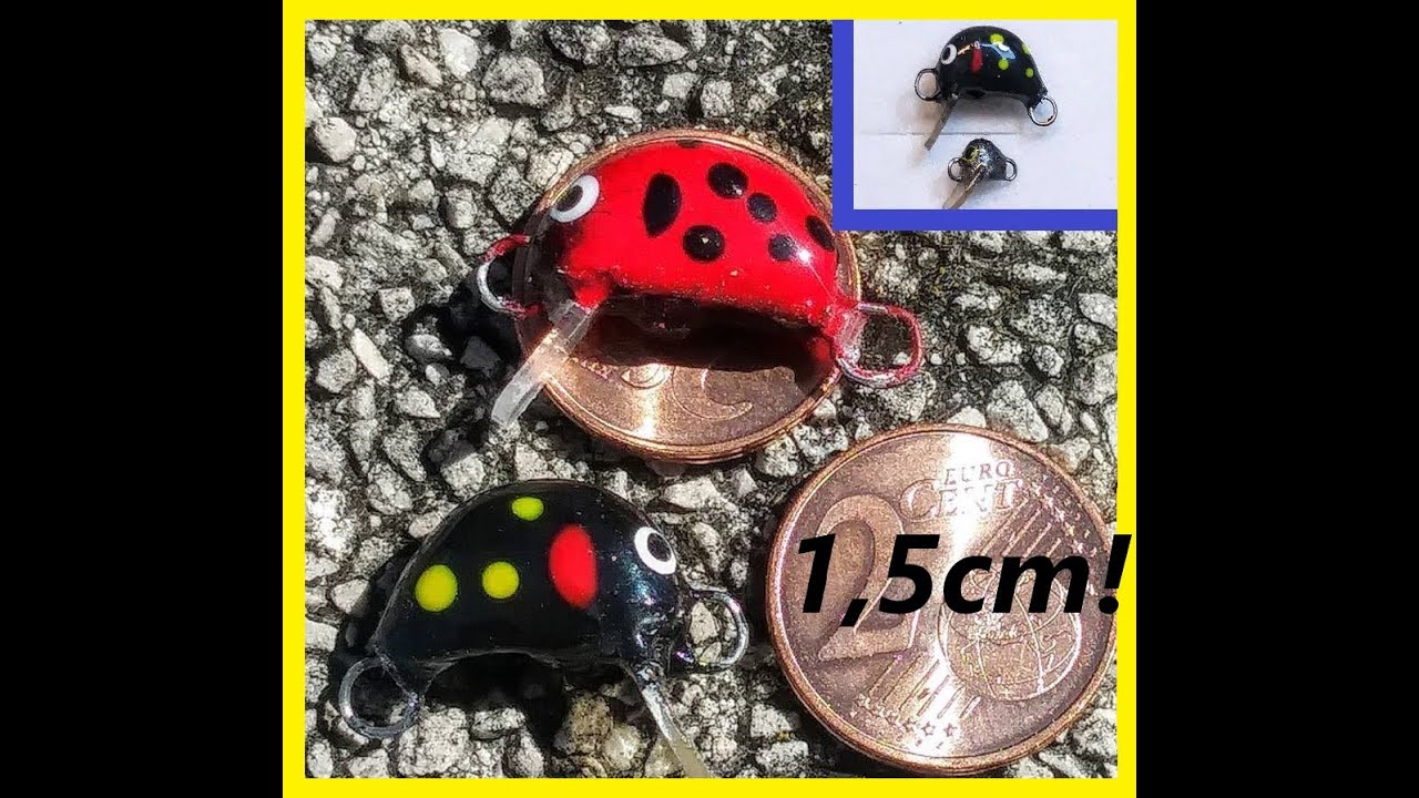 Mini Mignon e il più piccolo di sempre