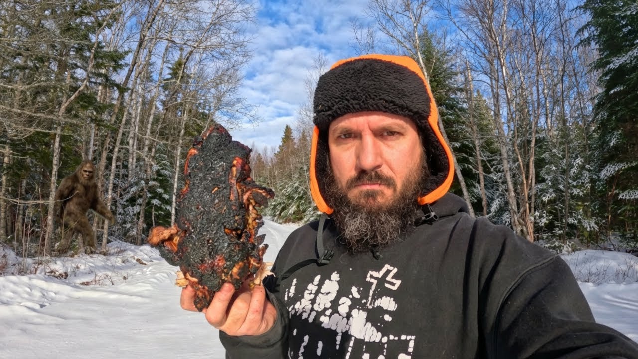 Cooking A Full Chicken On A Fire *WITHOUT* Experience Gone Wrong!
