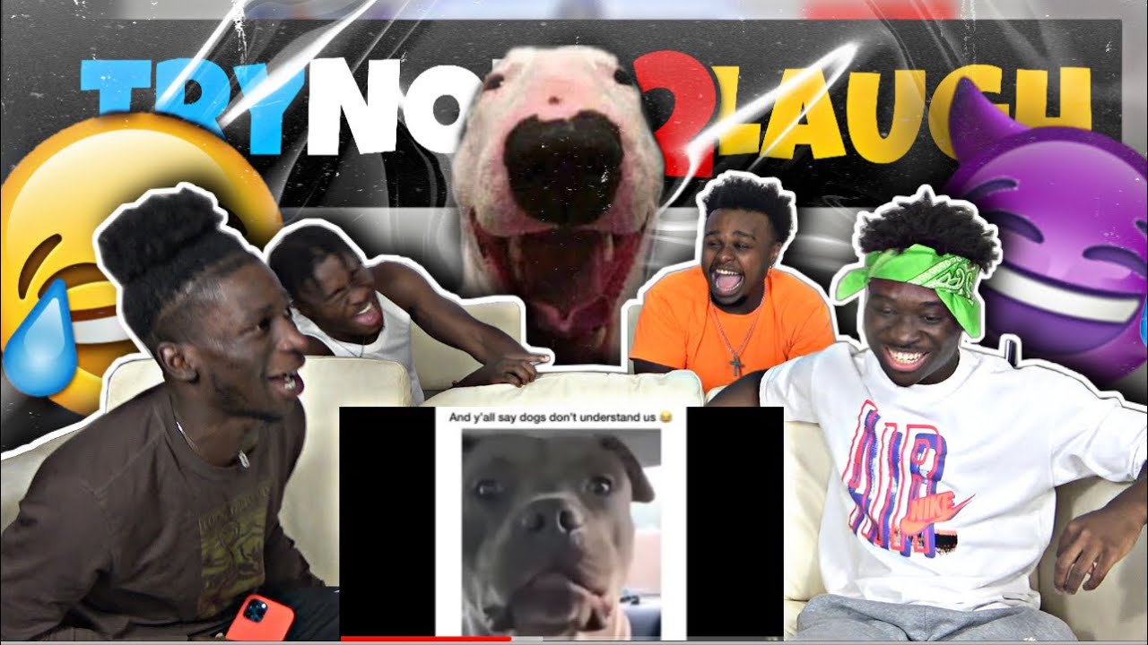 TRY NOT TO LAUGH | HOOD VINES AND SAVAGE MOMENTS😂😂