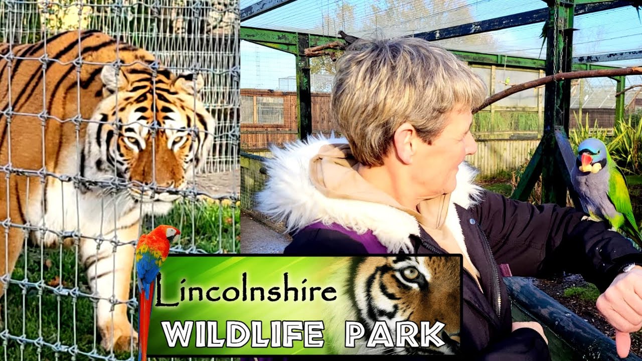 Lincolnshire Wildlife Park 8th December 2025
