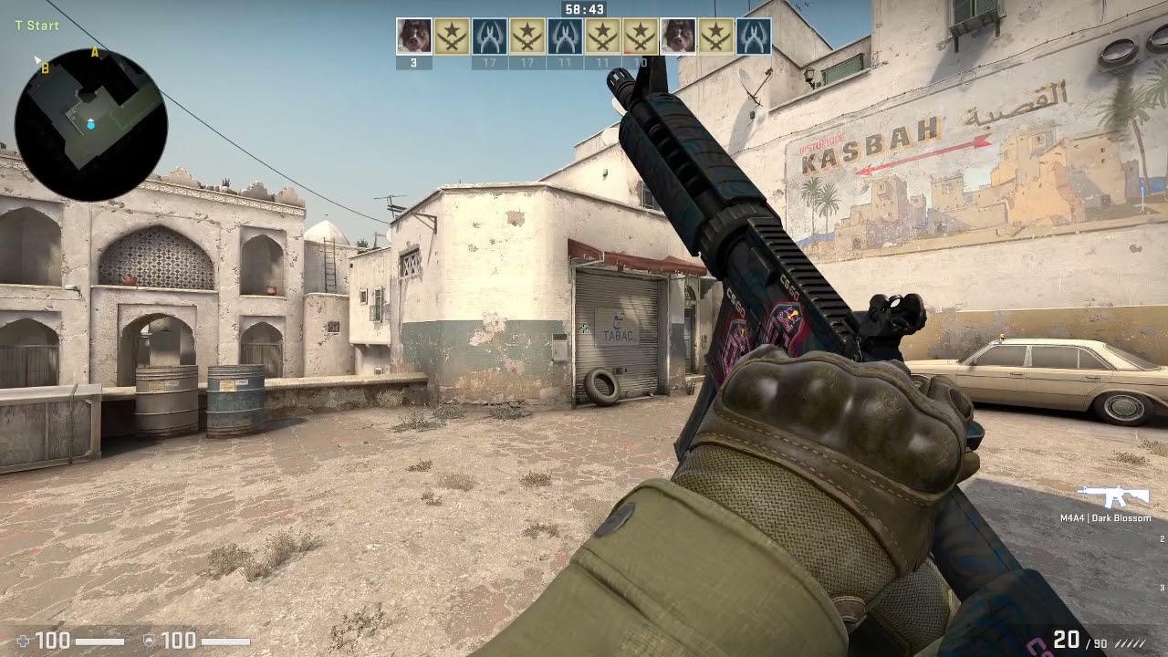 M4A4 | Dark Blossom 4X Holo OG RMR2020 Sticker Combo| Skin Showcase| Counter Strike Global Offensive