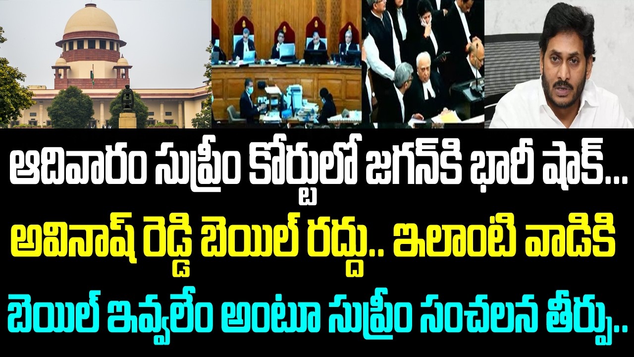 ఆదివారం సుప్రీం కోర్టులో జగన్ కి భారీ షాక్... అవినాష్ రెడ్డి బెయిల్ రద్దు.. ఇలాంటి వాడికి బెయిల్