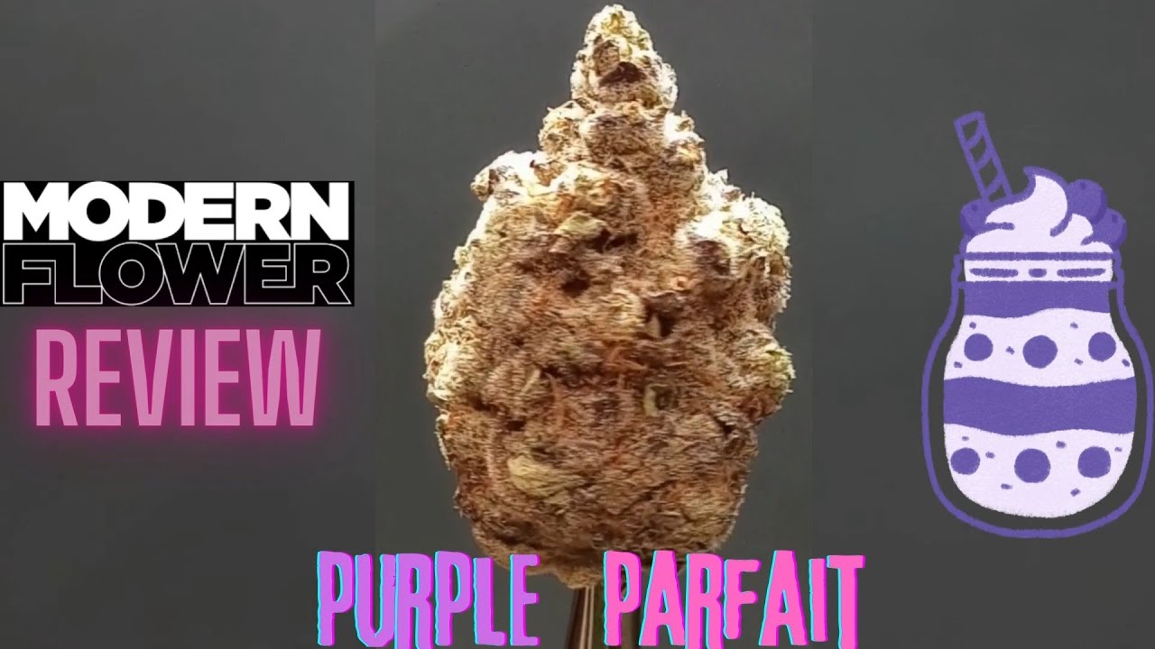 Modern Flower Purple Parfait Flower Review