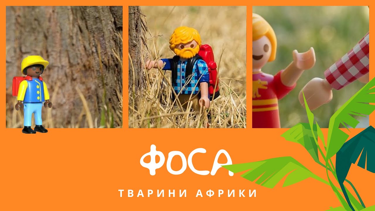 Фоса. Тварини Африки | КоМарко