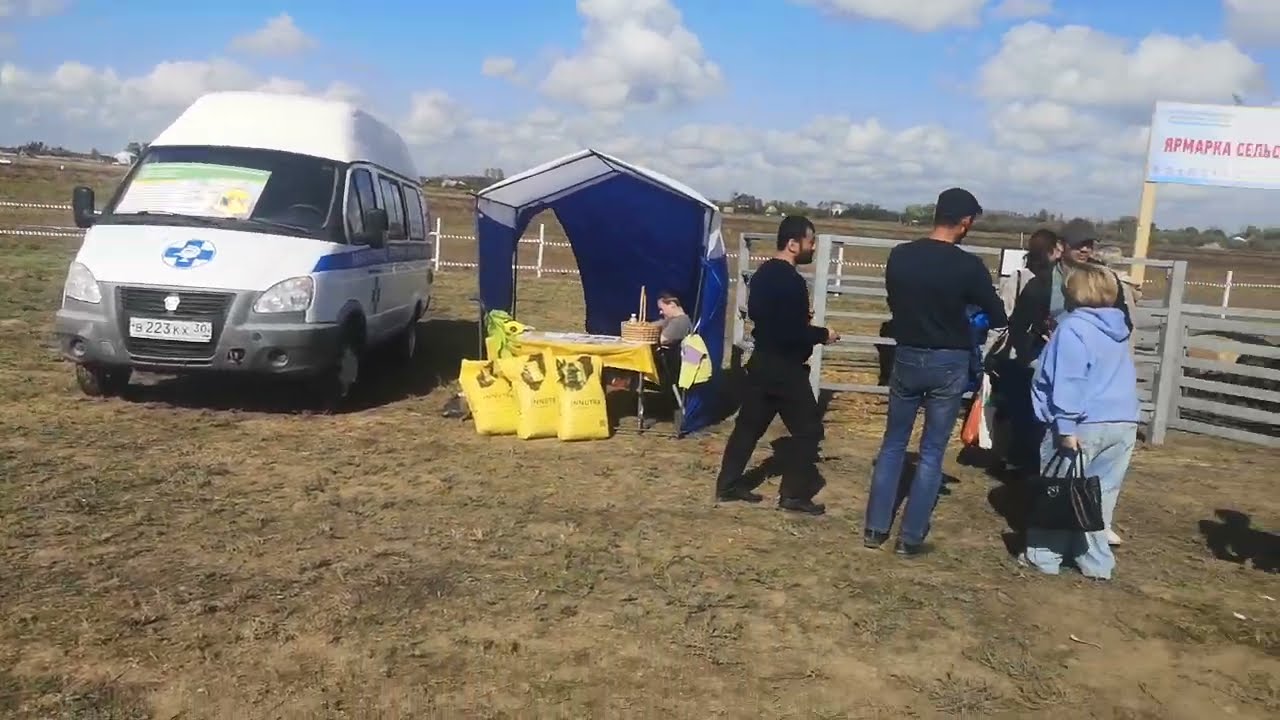 Фермерский фестиваль. Приволжский район Астраханской области, село Три Протока. Верблюды- главные !