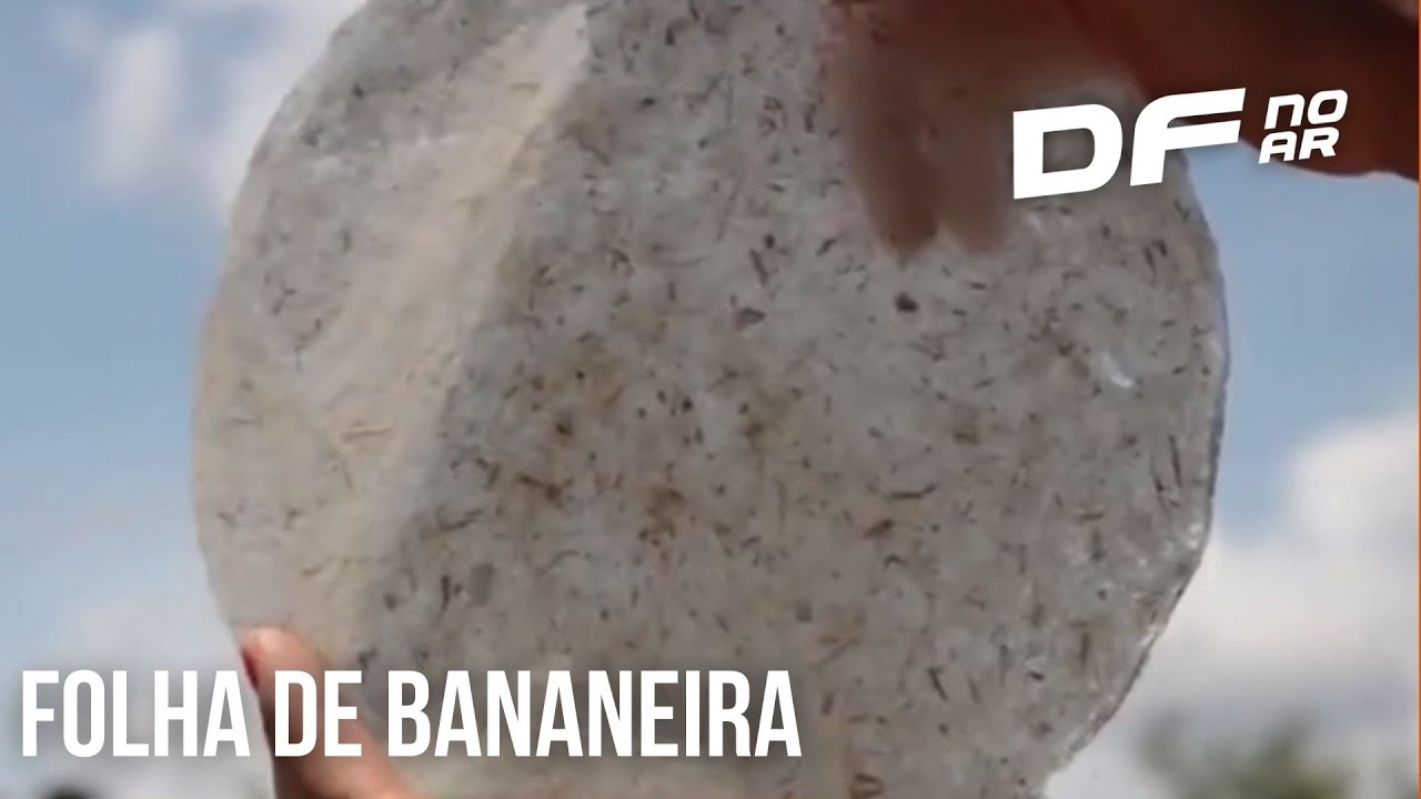 Artesã produz e importa papel produzido com tronco de bananeira