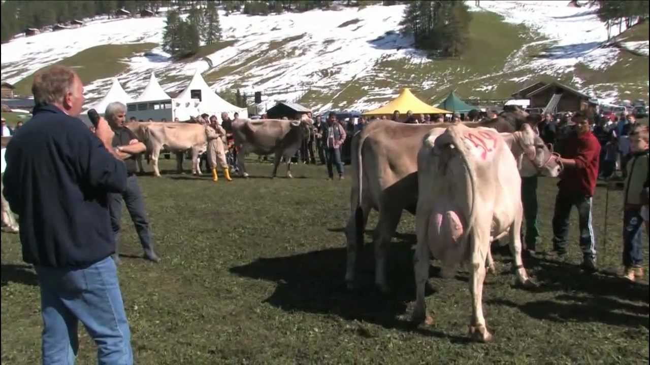 44° Mostra Zootecnica a Livigno