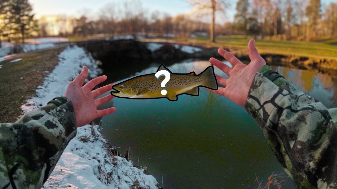 Exploring a Golf Course For Big Trout!