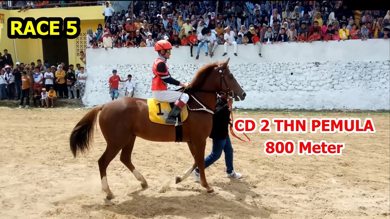 RACE 5 || Pacu Kuda Tanah Datar Batusangkar 2022 - CD 2 THN Pemula (16 Oktober 2022)