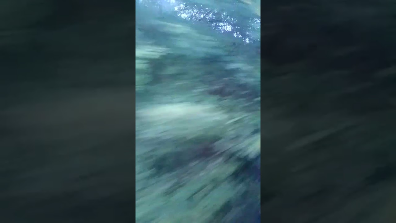CAMINHO QUE LEVA PARA PRESÍDIO DE SEGURANÇA MAXIMA, PEDRINHAS MARANHÃO.