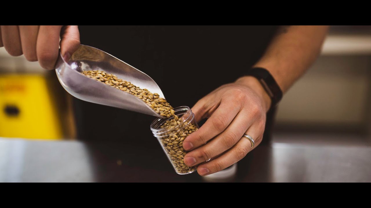 Master Brewers Podcast Episode 155: Continuum of Malt Opportunities