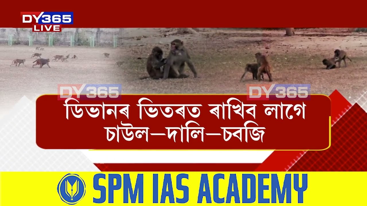 এইবাৰ বান্দৰ খেদাৰ উপাই বিচাৰিছে মুখ্যমন্ত্ৰীয়ে