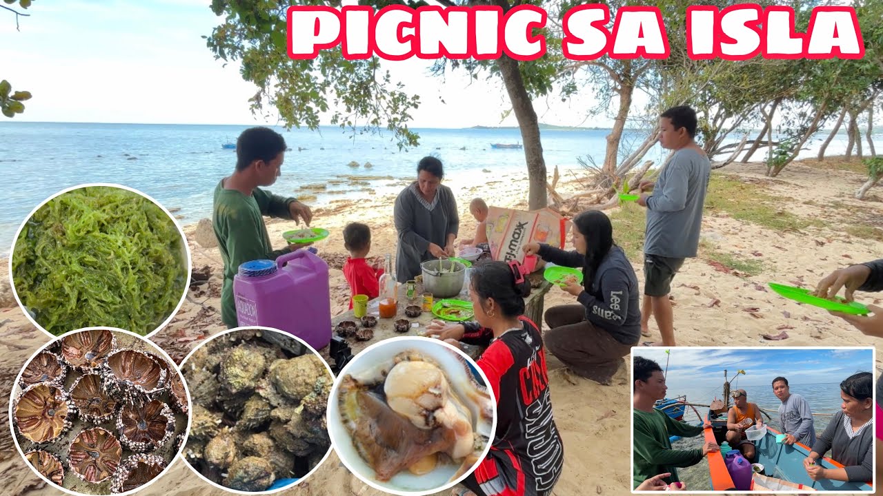 MASAYANG PICNIC AT KAINAN SA ISLA | NANGUHA NG BALULANG SEAWEED AT SEA SHELLS