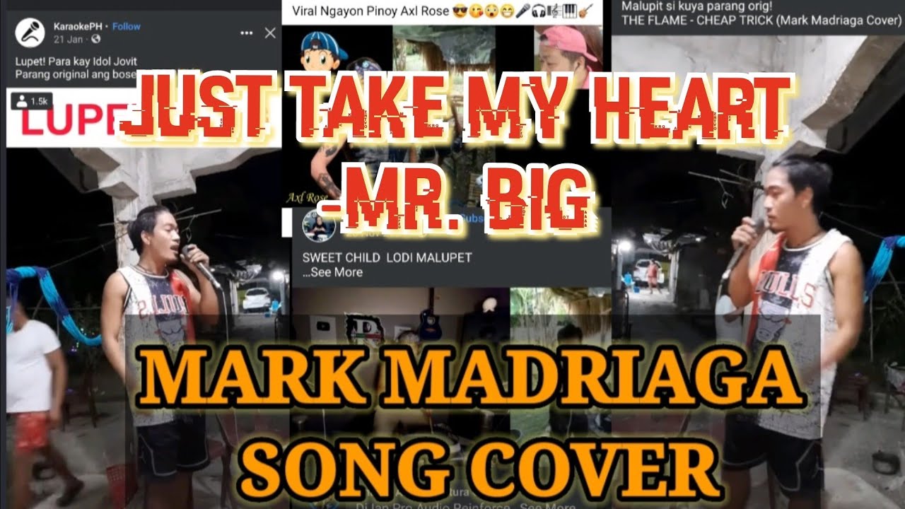 JUST TAKE MY HEART - MR. BIG MARK MADRIAGA COVER
