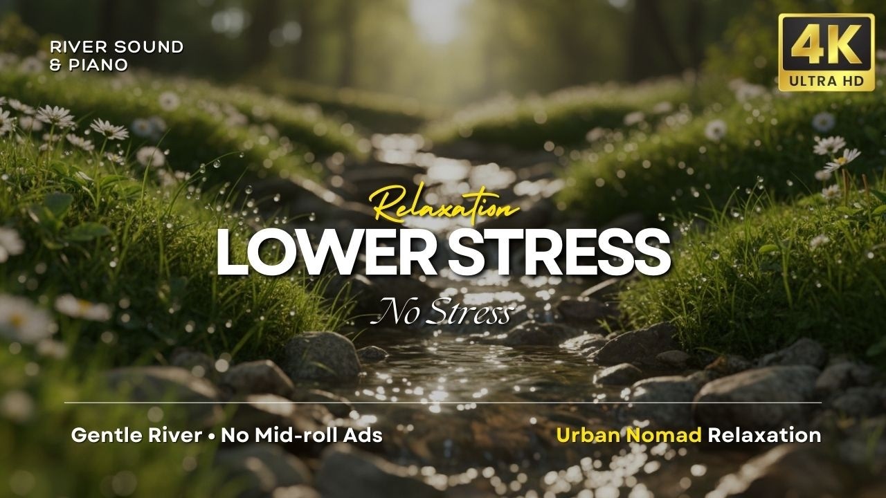 Cortisol Detox: Lower Your Stress Naturally