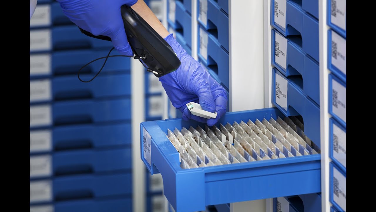 Dreampath. Traceability in pathology with FINA & CRYSTAL