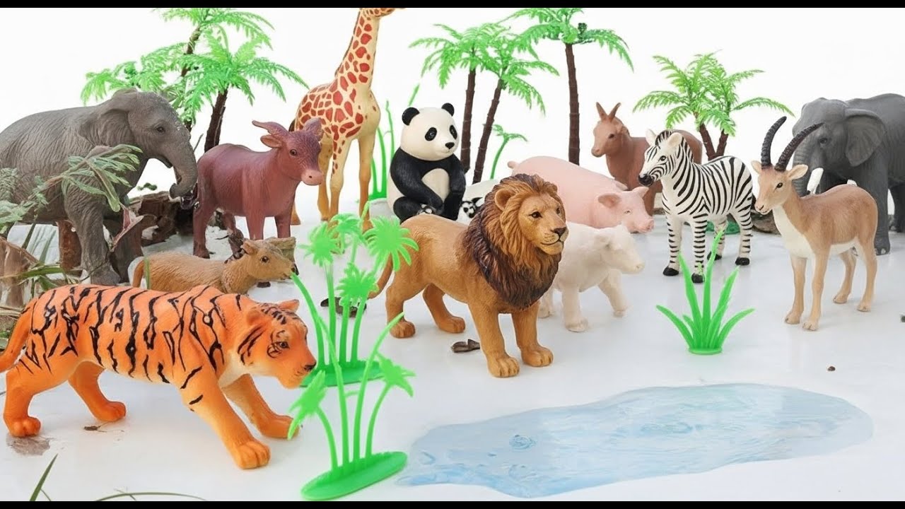 From Mud to Park 💦🐘 Washing Wild Animals  Fun Animal Learning for Kids