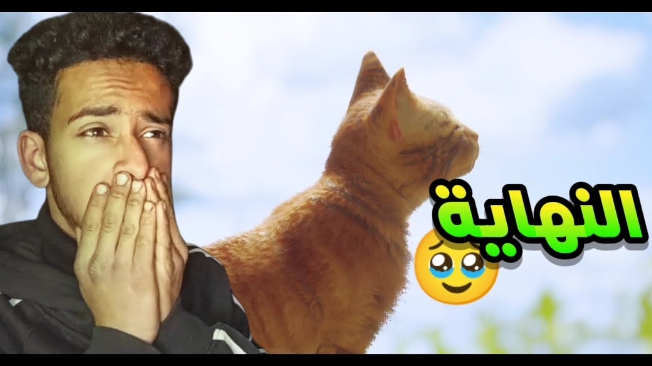 لعبة ستراي Stray النهاية 🥹❤️‍🩹