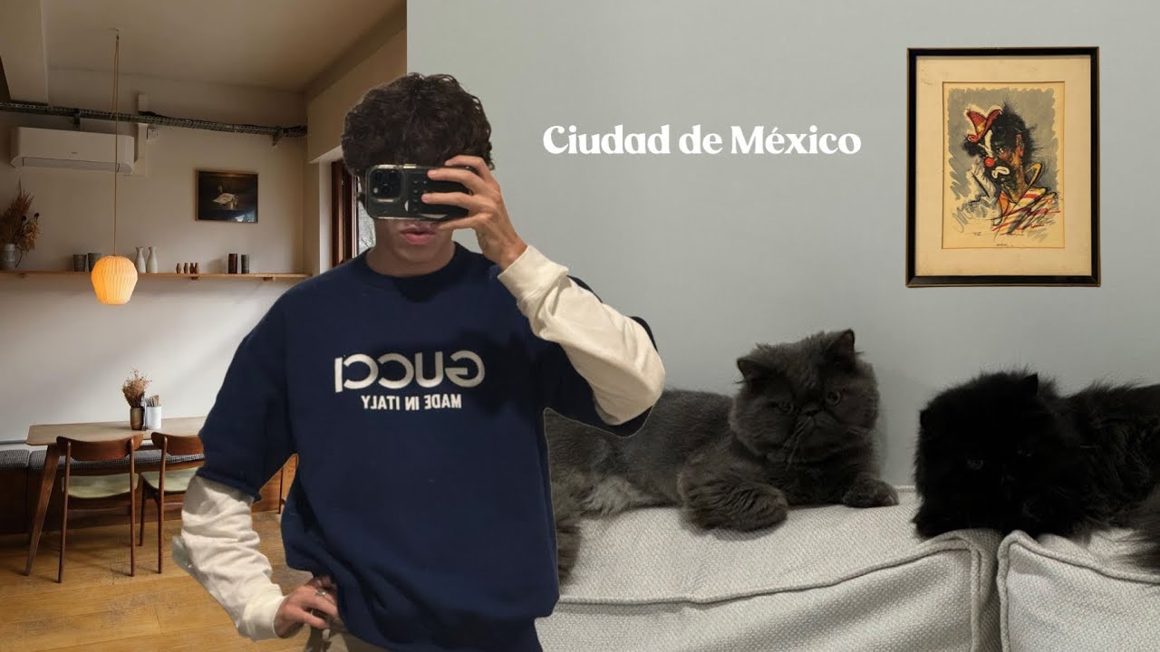 Un Chico regresa a su Hogar (la CDMX y sus amigos)