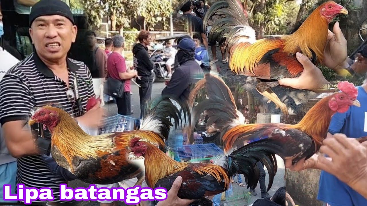 February 21 2026 Dinarayong Bentahan sa Lipa batangas..