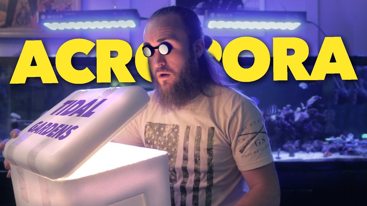 Не могу поверить, что я это заказал!! Распаковка Coral