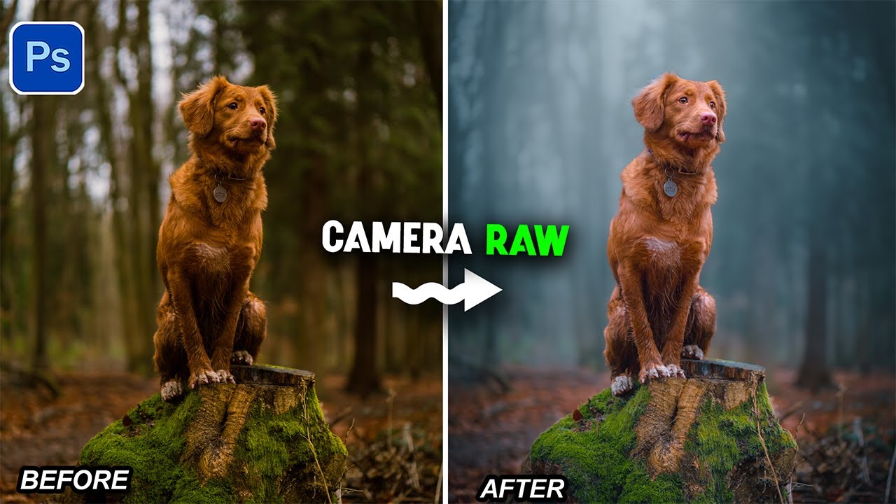 The Easiest Way to Get a Dark Foggy Forest Look with Masking in Camera Raw