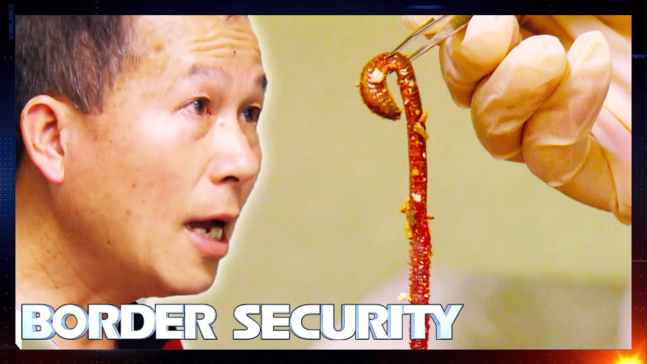 150g Of Live Worms Found In Bag Can Get Fisherman Prosecuted 🪱🤢 | S10 E7 | Border Security Australia