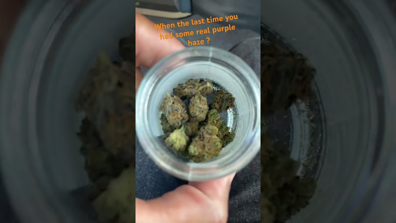 🔥🔥 Ran across some purple Haze ⛽️ 🔥 #exotic #gas #thcareview#Mr420