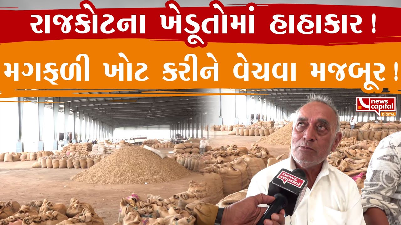 રાજકોટના ખેડૂતો ખોટ કરીને વેચી રહ્યા છે મગફળી.