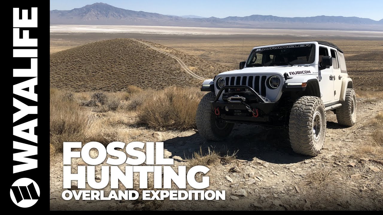 JL Wrangler Overland Expedition of Northern Nevada Fossil Hunting and Exploring Old Miner Cabins