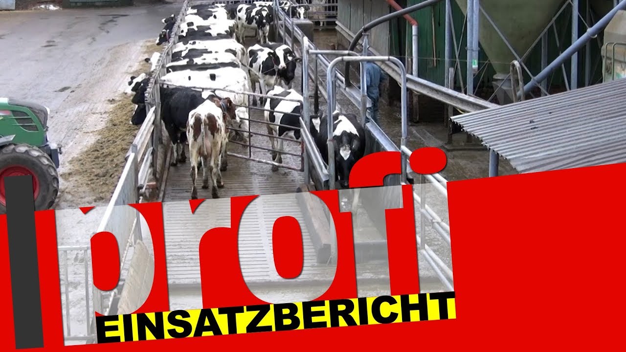 EuroTier Spezial: Einsatzbericht Praktikerlösung zum Klauenbad