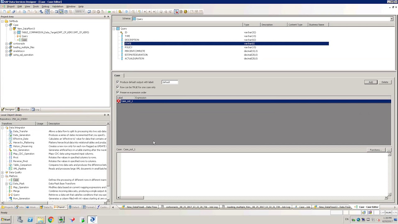 SAP BO Data Services Tutorial: Case
