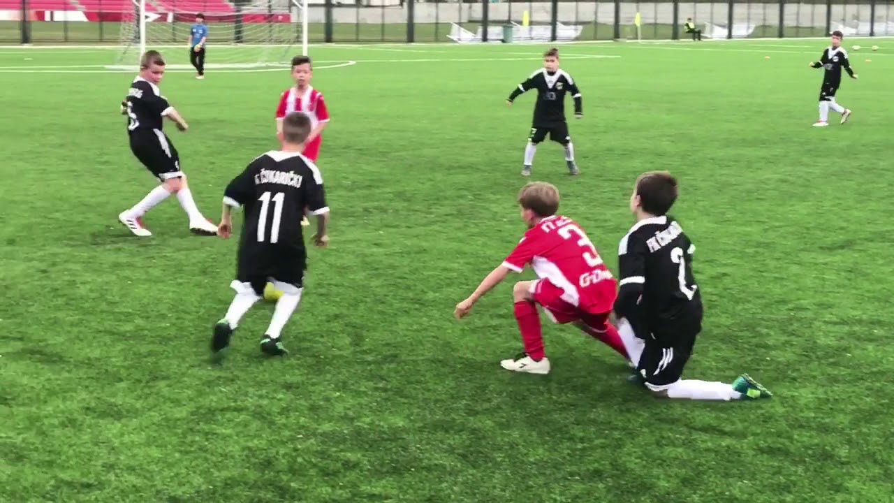 Crvena Zvezda-Cukaricki 2008