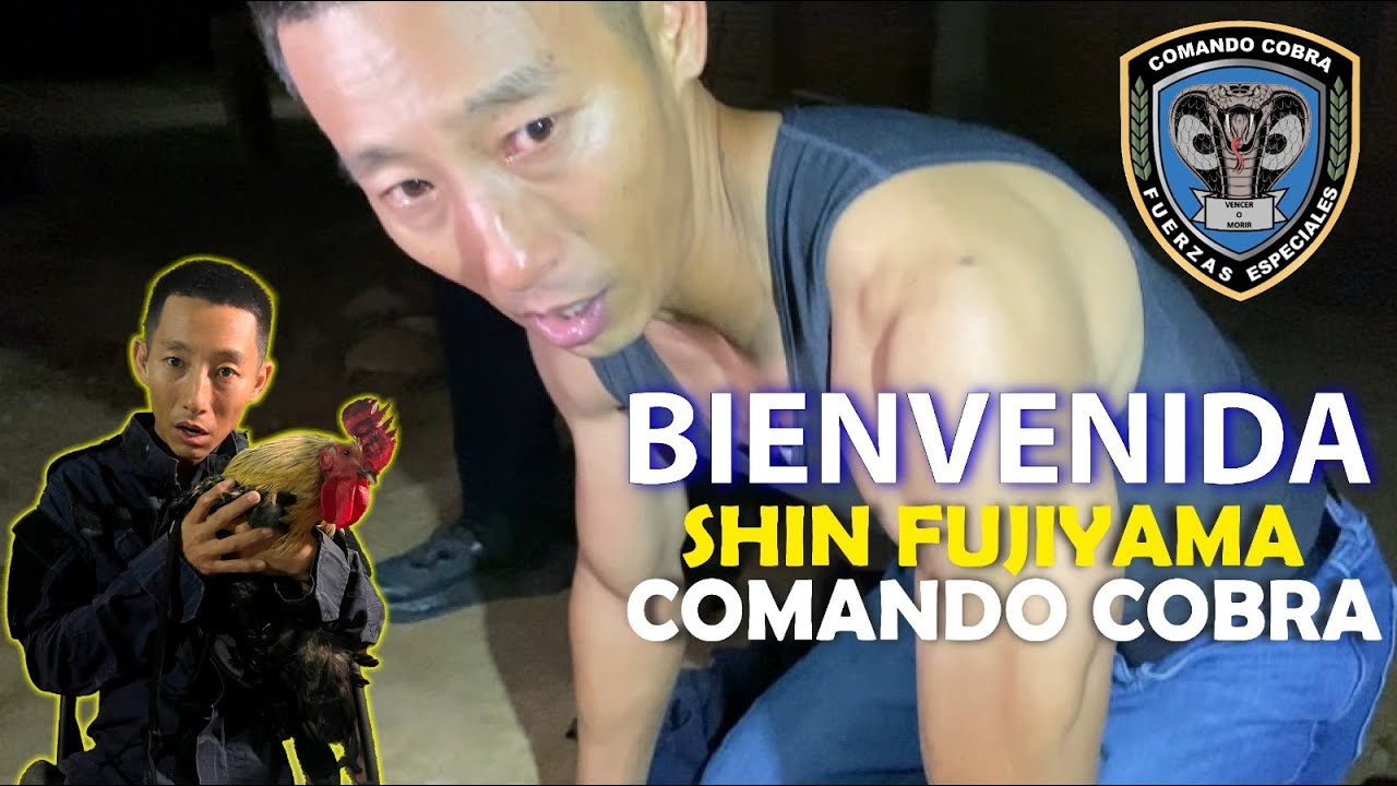 BIENVENIDA SHIN FUJIYAMA | COMANDO COBRA-EPISODIO I