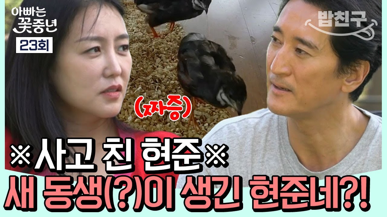 [#밥친구] 또 사고 친 현준?! 아이들을 위해 아내 몰래 분양 받은 메추리! 그리고 이를 거부하는 아내와의 신경전 그 결과는?!| 아빠는 꽃중년 23회