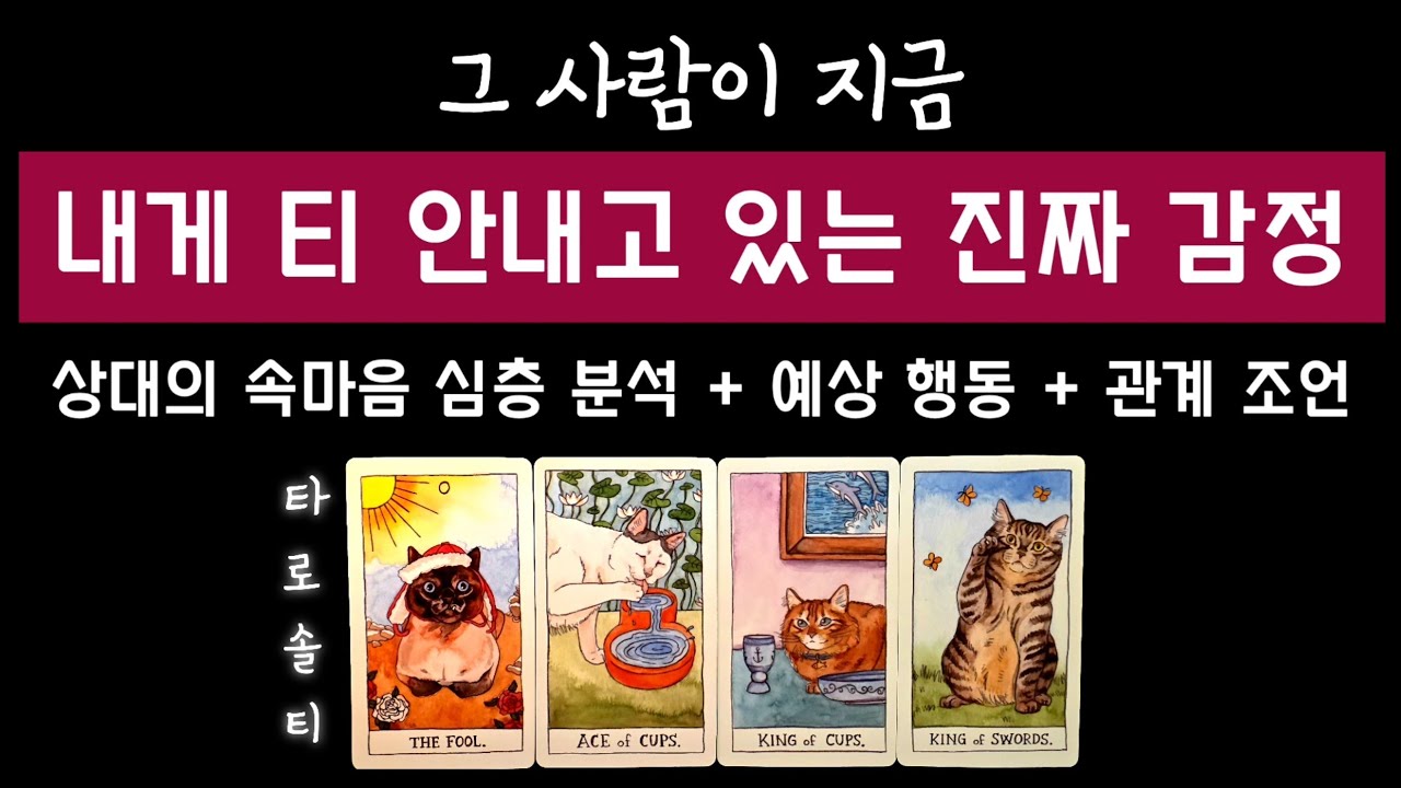 [타로카드/속마음] 그 사람이 지금 내게 티 안내고 있는 진짜 감정은?  (+ 속마음 분석 & 행동 예측 & 관계 전략 조언)