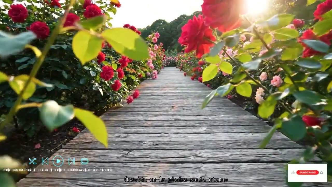 🕎 Unidad y Paz en Sión | Adoración Hebrea Profunda · Fuente de Vida