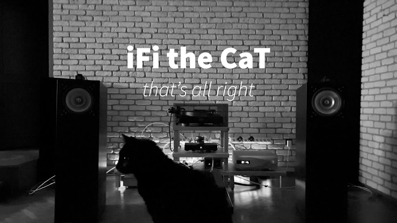 Cube Audio Nenuphar / That's All Right