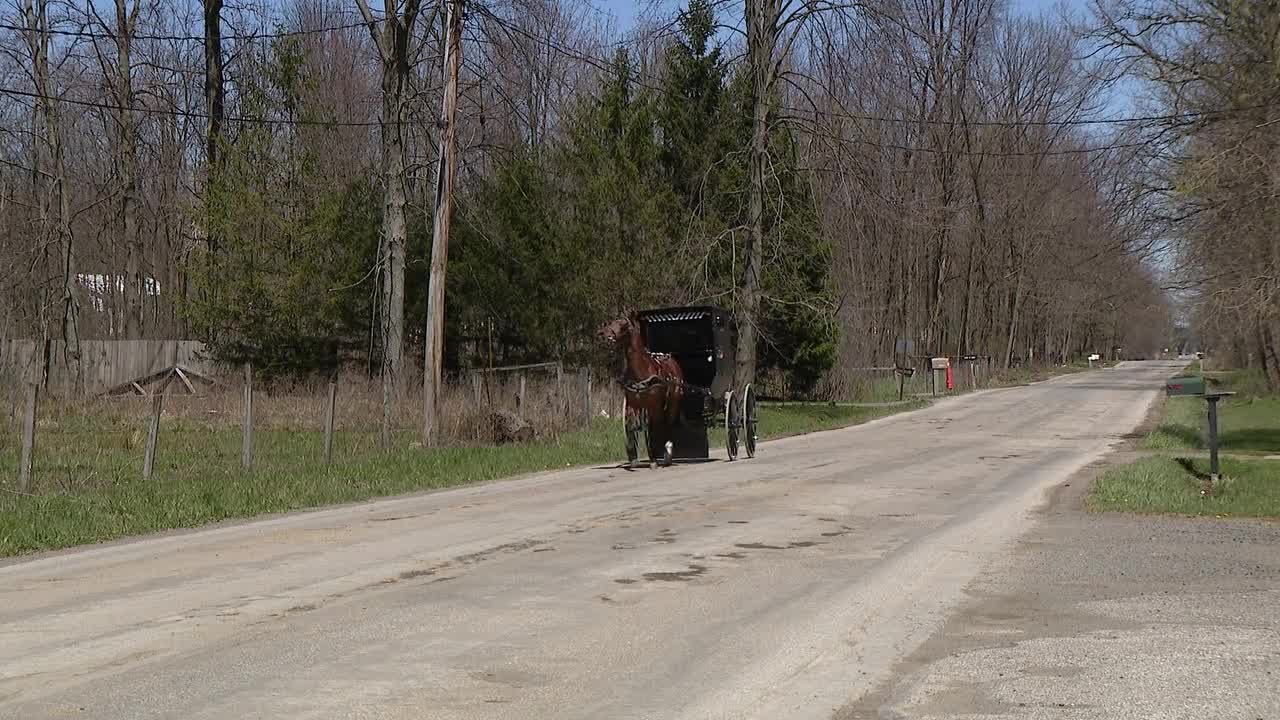 'We won't tolerate this,' Geauga Sheriff files charges after large Amish part