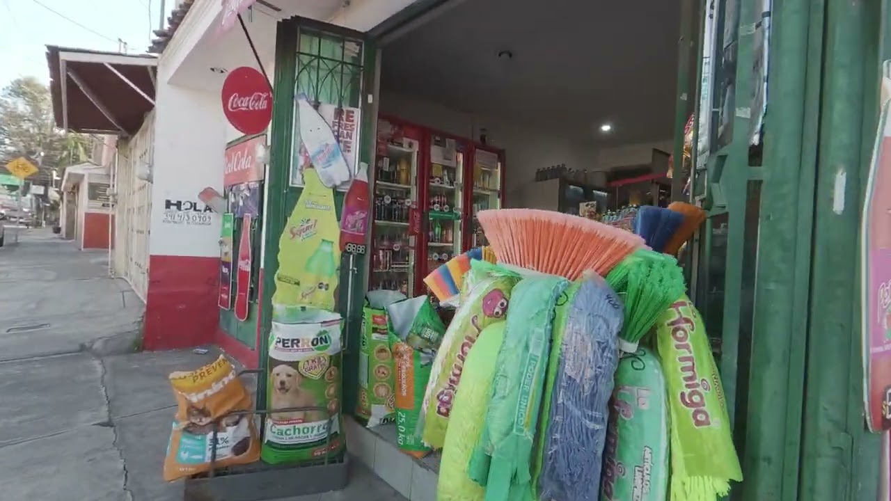 Walktour 4K: Calle Ignacio Mejia Completa || Ciudad Guzmán || 14 de Febrero 2026