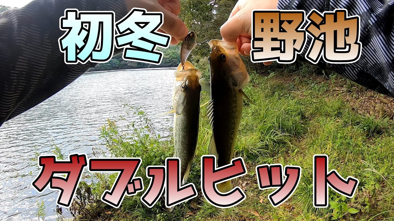 【初冬】レベルバイブブーストの釣果がブーストしてる【バイブ】