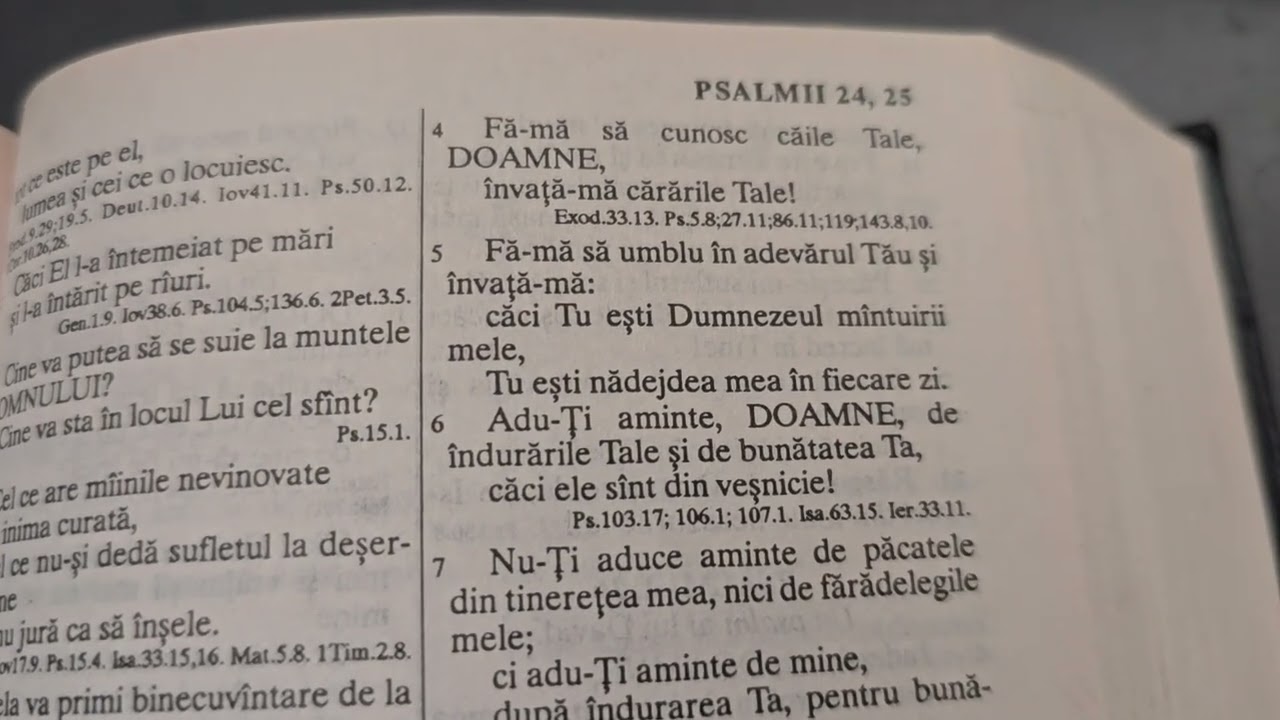 Psalmul 20, 21, 22, 23, 24, 25, 26, 27, 28