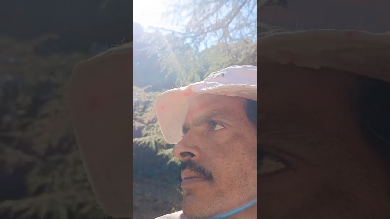 Wildlife sanctuary binsar mahadev mandir me holi gaayan 