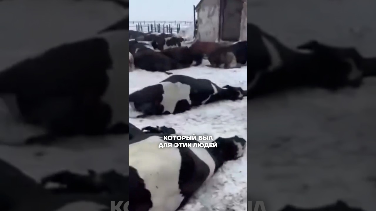 Беспредел в Сибири